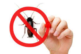 https://centrodeserviciosdefumigacionycontroldeplagas.com/